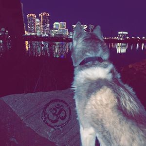 Meet your Posher, Jesse